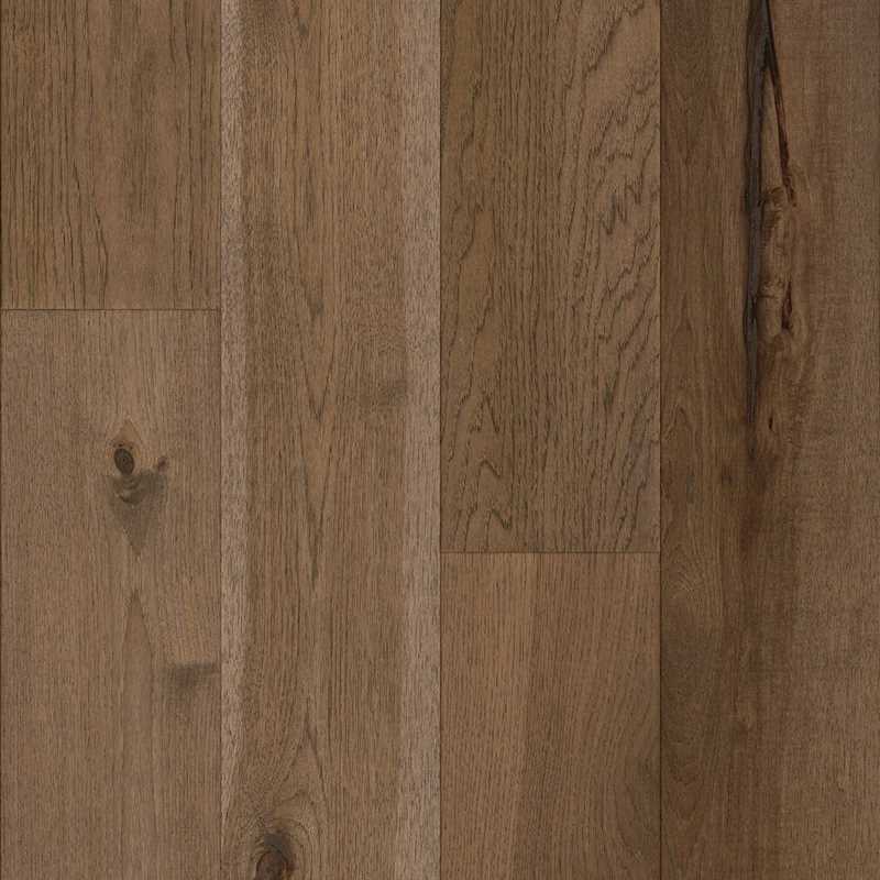 IW Gold - Chittenango Falls