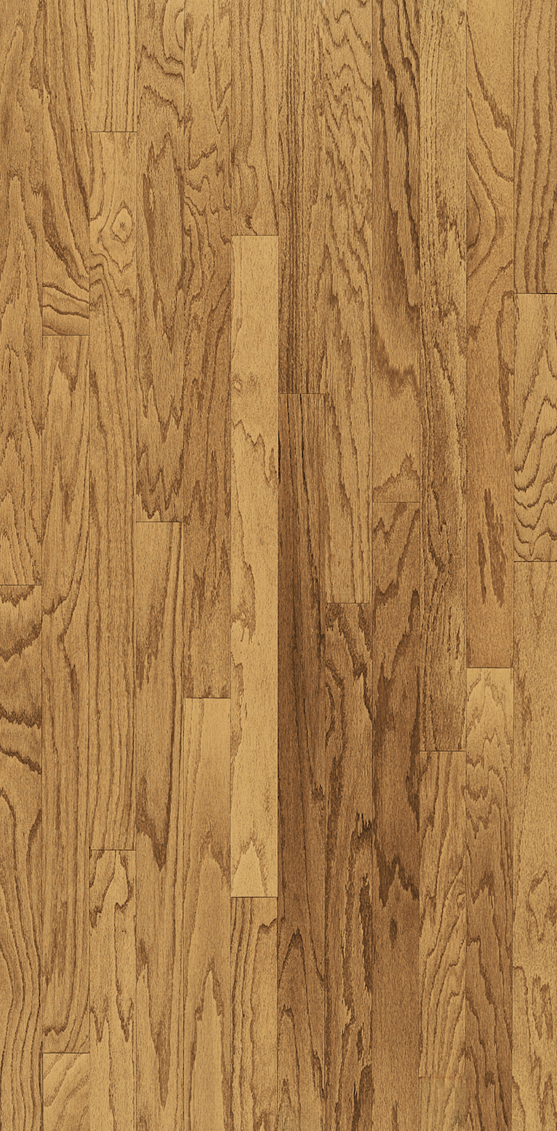 IW Turlington 3 in - Harvest