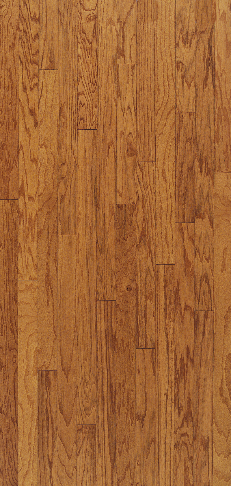 IW Turlington 3 in - Butterscotch