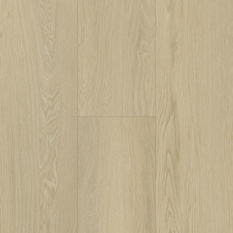 IW Horizon's Embrace - Monterey Surf