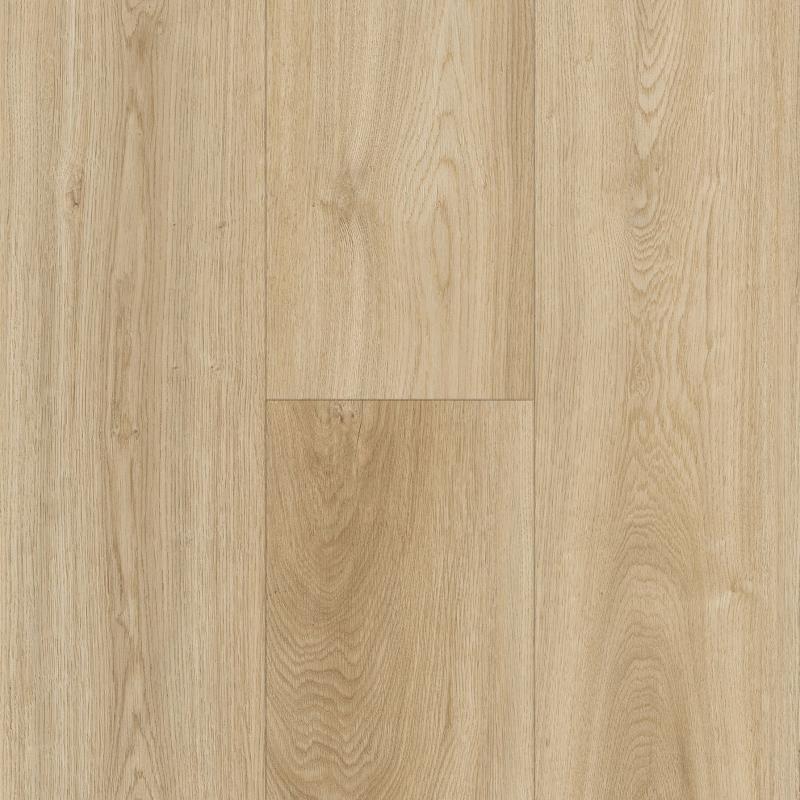 IW Horizon's Embrace - Desert Sun