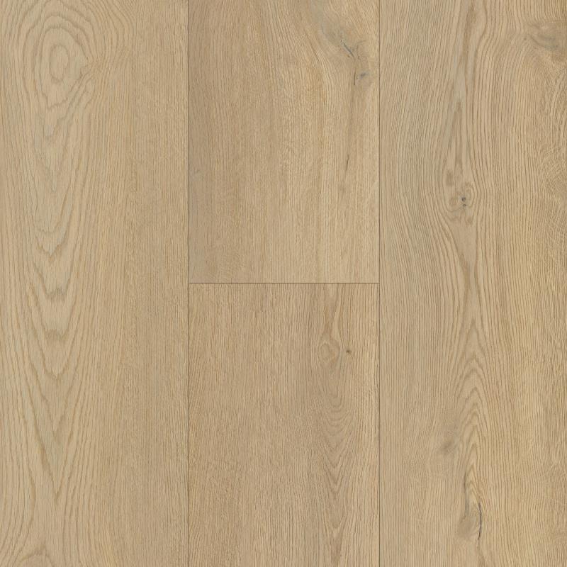 IW Horizon's Embrace - Saddle River