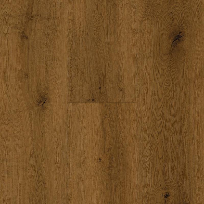 IW Horizon's Embrace - Mountain Top