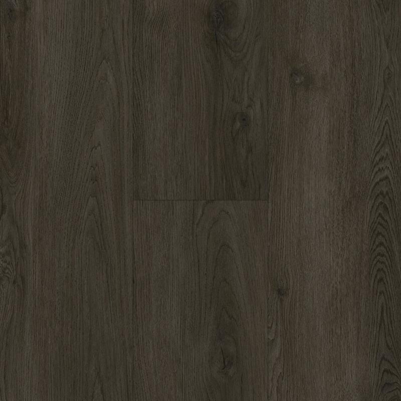 IW Horizon's Embrace - Twilight